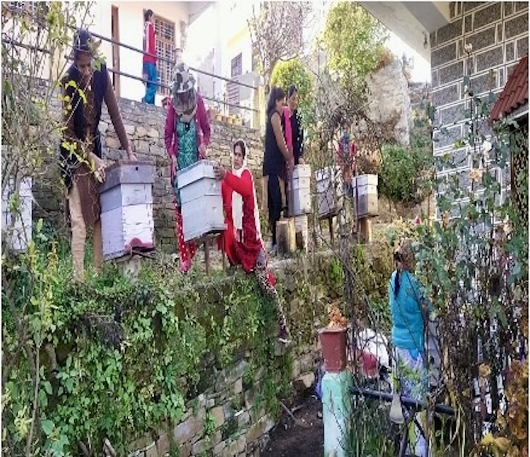 The Shakti Self-Help Group: Empowering Rural ...