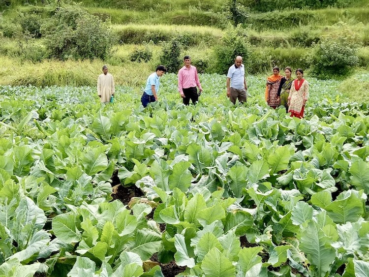 Transforming Struggles into Success: Sher Sin...