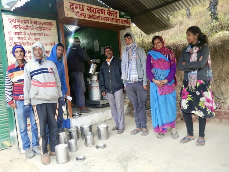 From Struggle to Strength: Empowering Rural C...